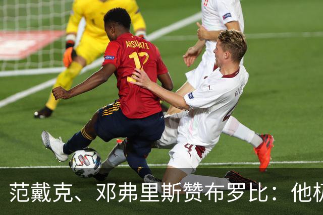 范戴克、邓弗里斯赞布罗比：他极难对付 和卢卡库有相似之处